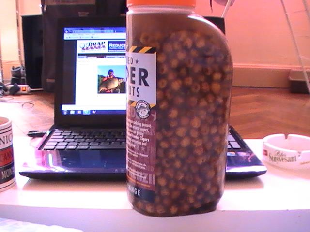 incep sa apara pesti din franta - 2013-09-06-173248.jpg